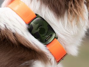 bäst-i-test-hundpejl-vexo